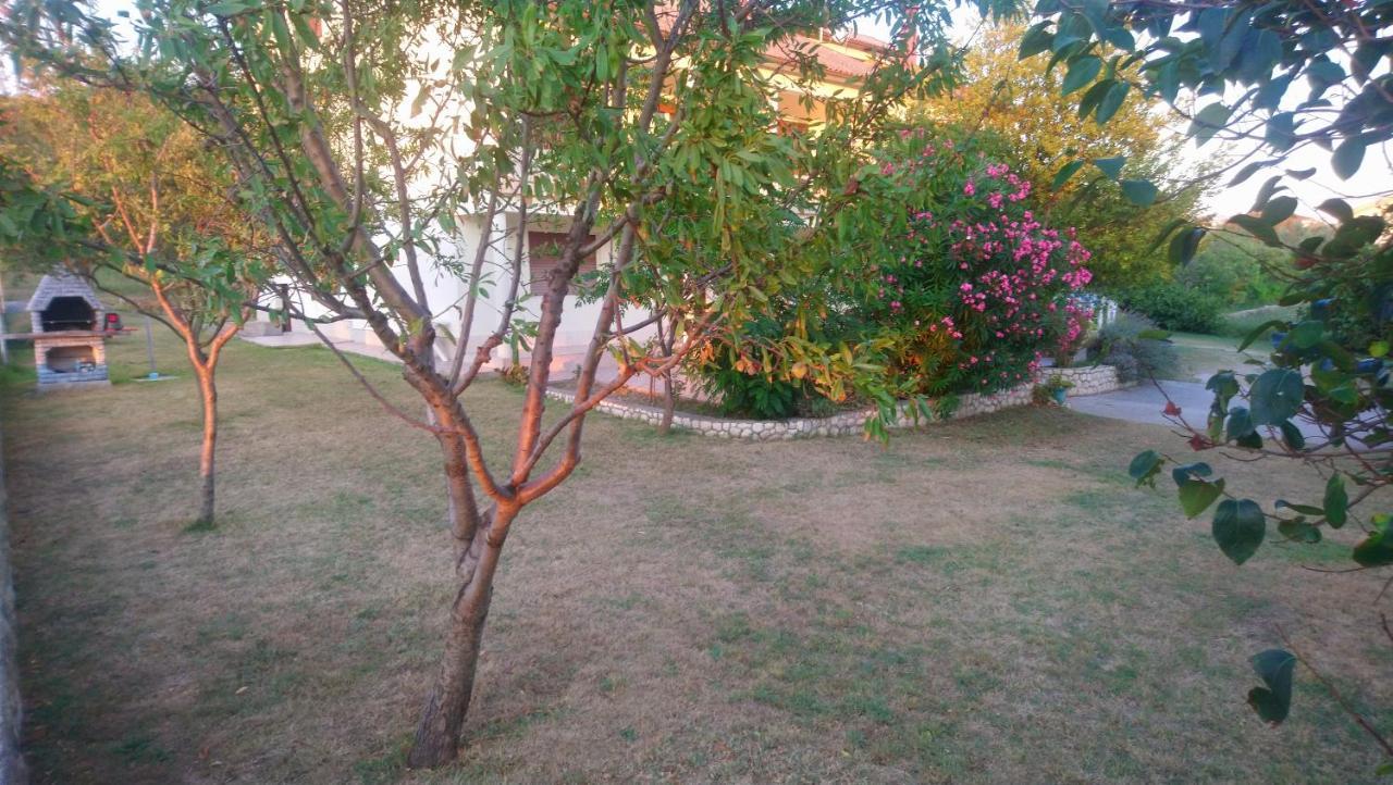 קמפור Apartment Vidas מראה חיצוני תמונה